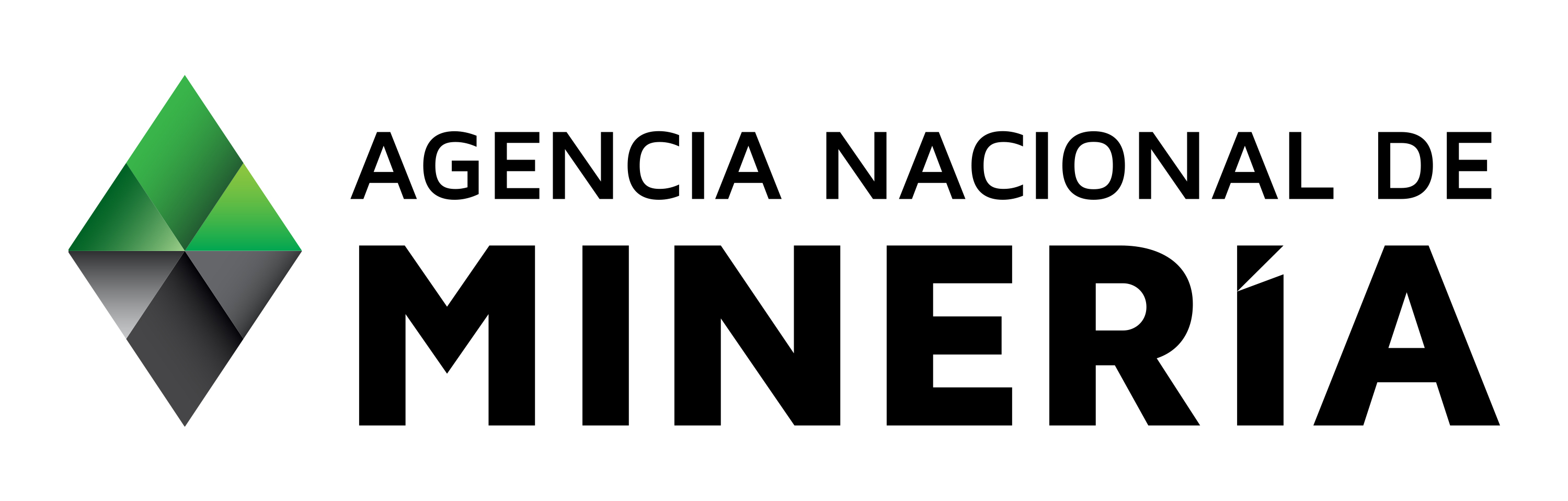 logo-anm